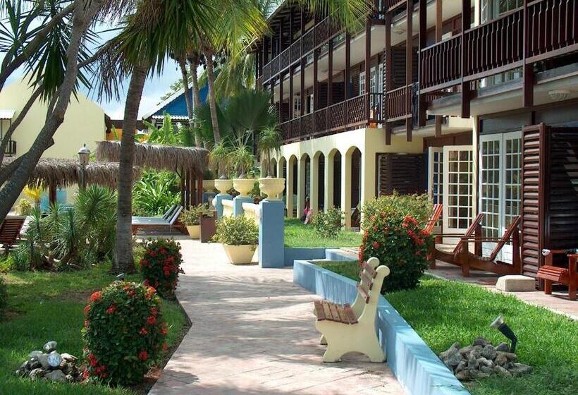 اتاق استاندارد, Lionsdive Beach Resort