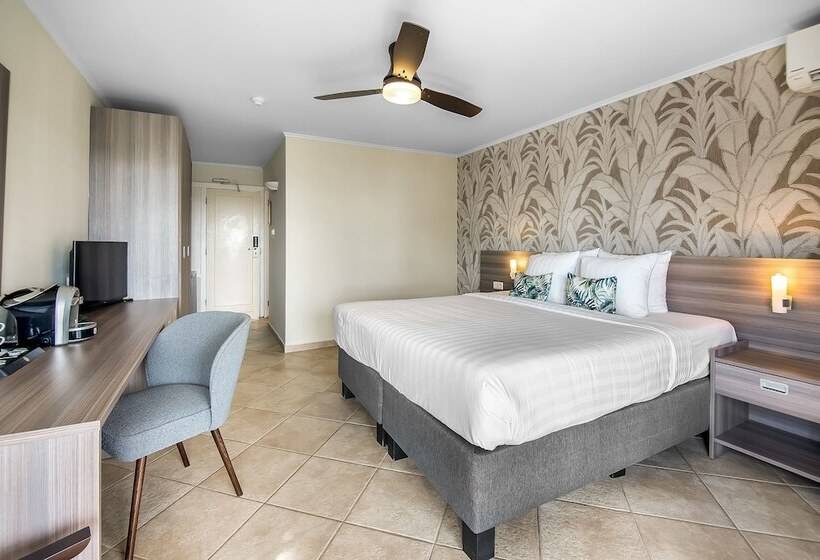 اتاق استاندارد با چشم‌انداز دریا, Lionsdive Beach Resort