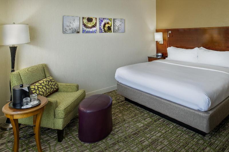 اتاق استاندارد با تخت بزرگ, Marriott St. Louis West