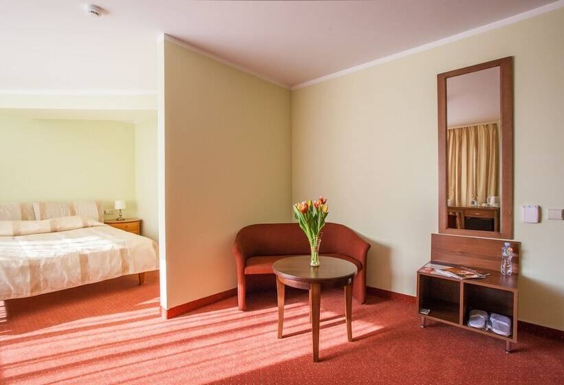 Chambre Supérieure, Airinn Vilnius