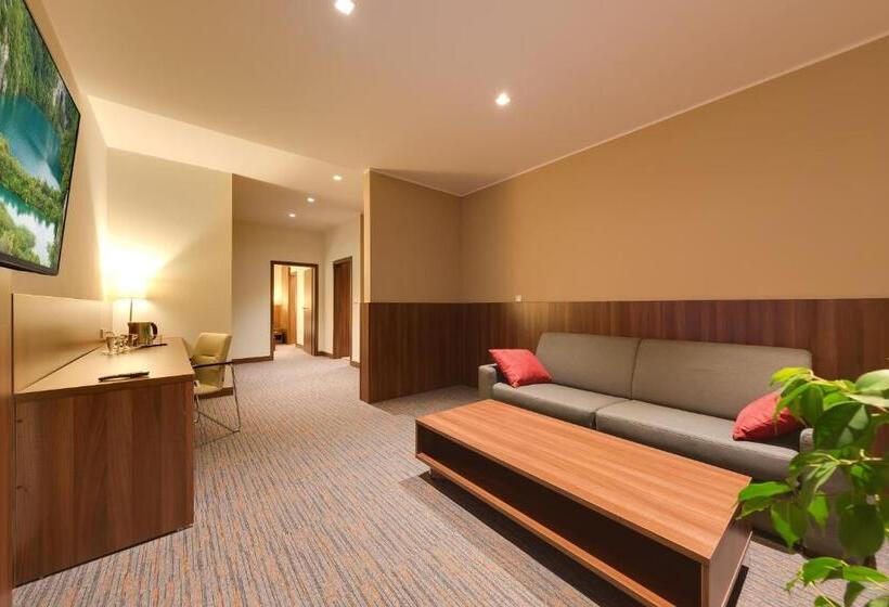 آپارتمان 1 خوابه با بالکن, Congress Hotel Centrum
