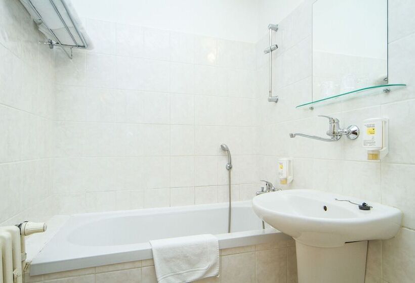 اتاق سوپریور, Lh Hotel Mědínek Old Town