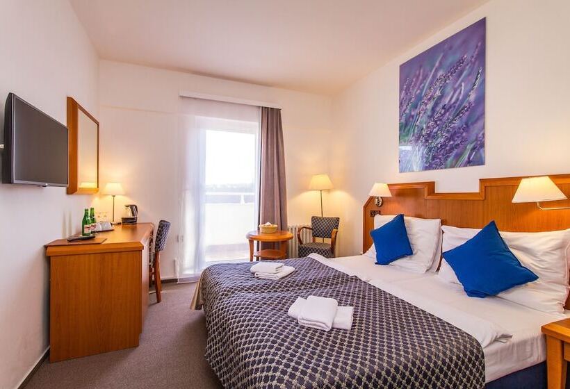 اتاق سوپریور, Lh Hotel Mědínek Old Town