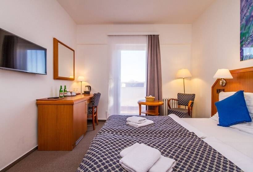 اتاق سوپریور, Lh Hotel Mědínek Old Town