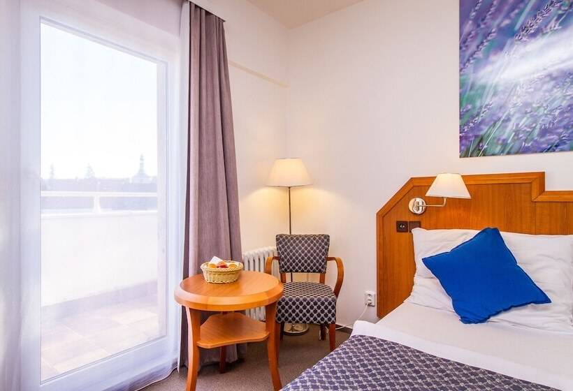 اتاق سوپریور, Lh Hotel Mědínek Old Town