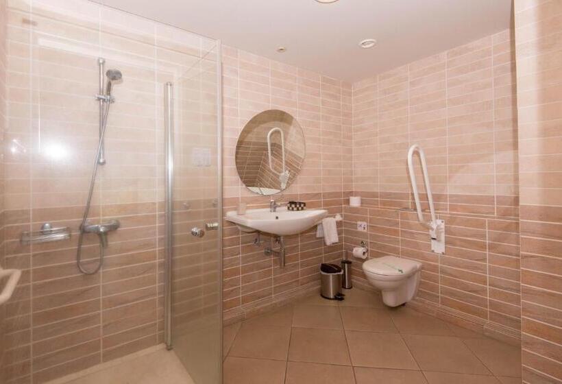اتاق استاندارد برای معلولان, Rodon Hotel And Resort