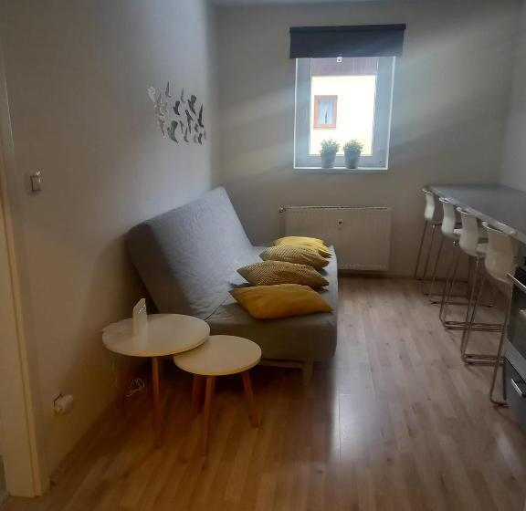 آپارتمان 1 خوابه, Apartmány Za Sněžníkem