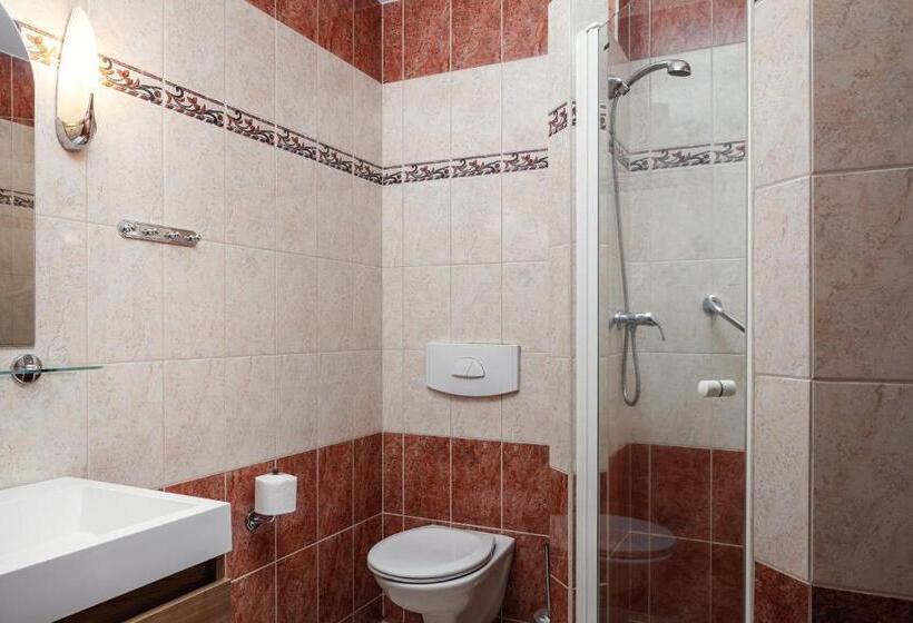 اتاق استاندارد, Bajkal