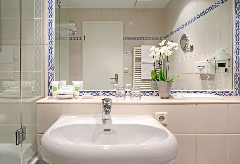 اتاق استاندارد یک نفره, Dorint Parkhotel Meißen