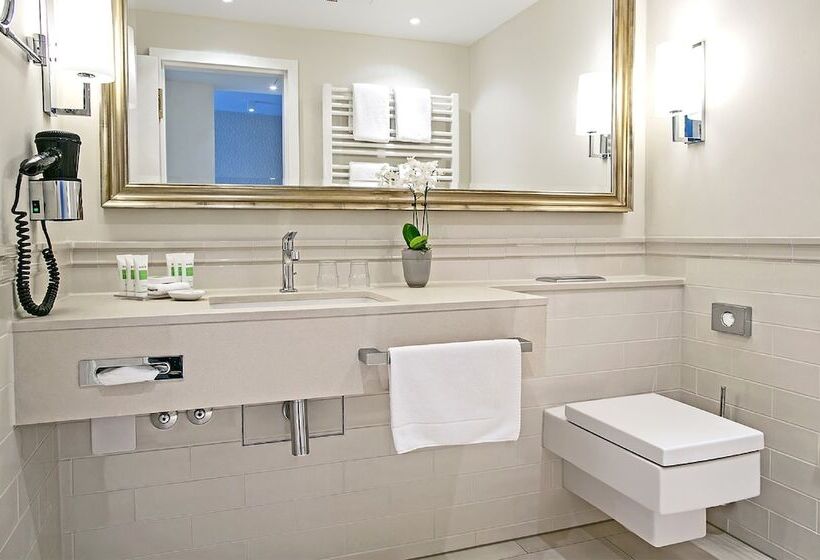 اتاق لوکس یک تخته, Dorint Parkhotel Meißen