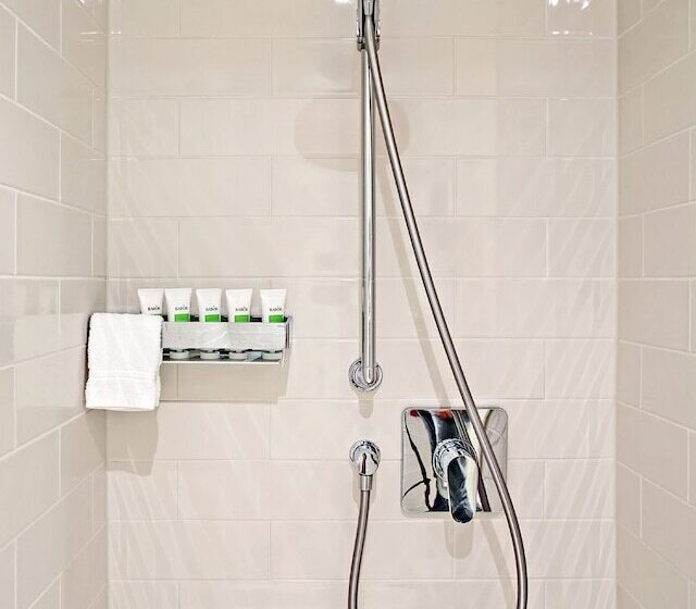 اتاق لوکس, Dorint Parkhotel Meißen