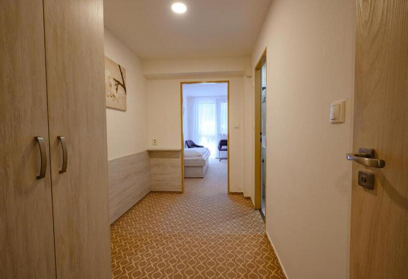 اتاق استاندارد سه نفره, Vega Luhacovice