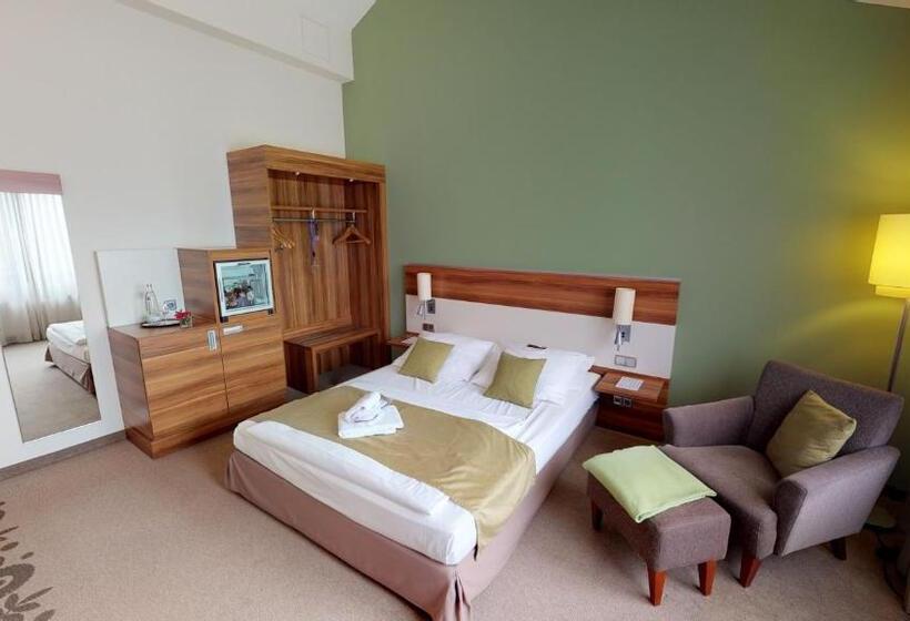 اتاق سوپریور با تخت بزرگ, Mercure Tagungs  & Landhotel Krefeld