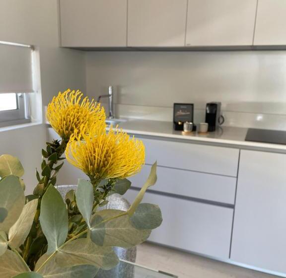 سوئیت سینیور, Brasil Suites Boutique