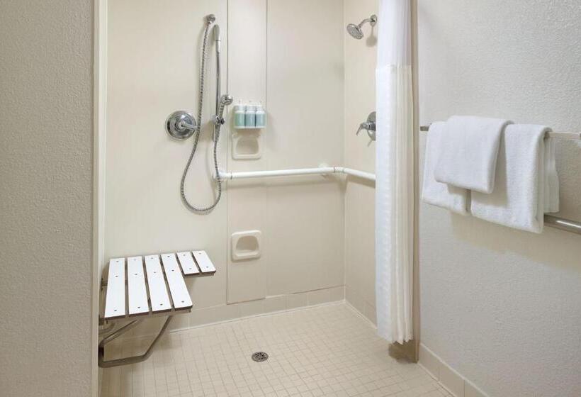 اتاق استاندارد با تخت بزرگ, Courtyard Orlando International Drive/convention Center