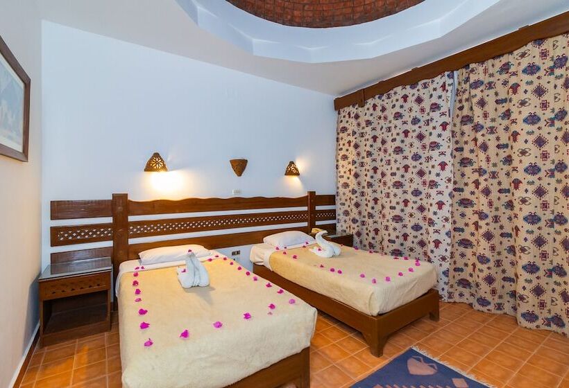 اتاق راحتی یک تخته, Daniela Diving Resort Dahab