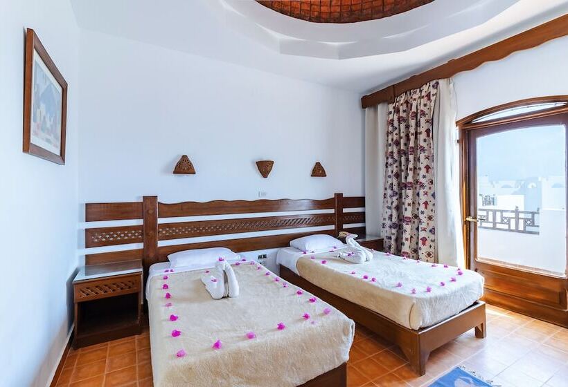 اتاق راحتی یک تخته, Daniela Diving Resort Dahab