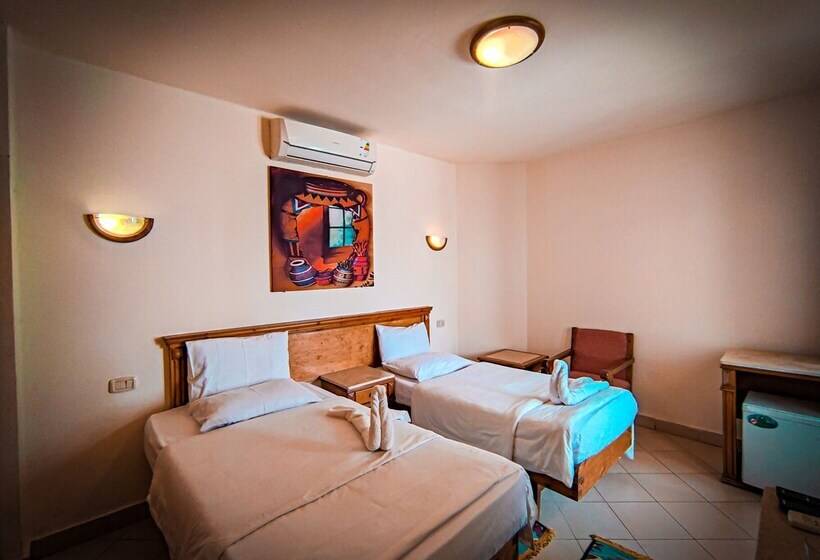 Quarto Economy, Dyarna Dahab