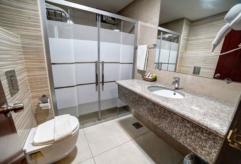 اتاق لوکس یک تخته, Nairoukh Hotel Aqaba