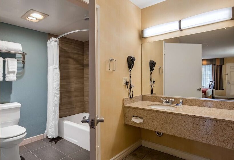 سوییت, Best Western Palm Garden Inn