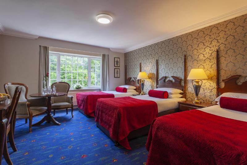 Chambre Standard, Killarney Randles