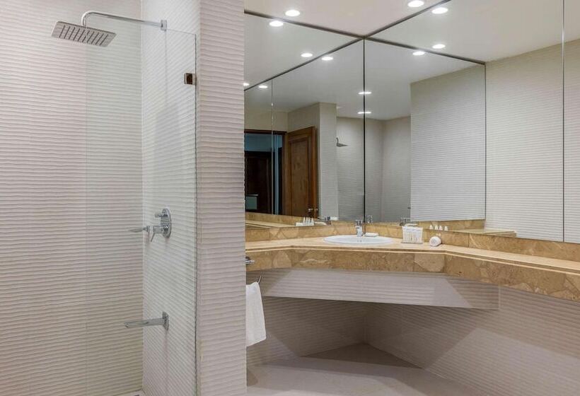 استودیوی استاندارد با تخت دوبل, Radisson San Josecosta Rica