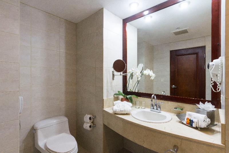 اتاق استاندارد با تخت بزرگ, Radisson San Josecosta Rica
