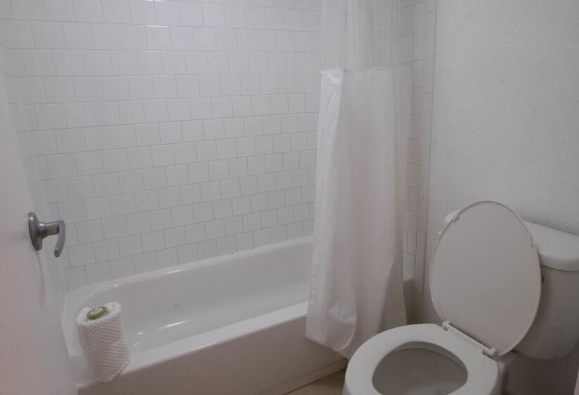 اتاق استاندارد با 2 تخت دوبل, Rodeway Inn Clearwater   Central