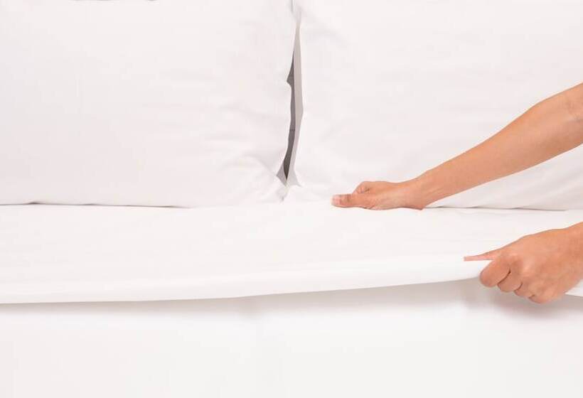 اتاق استاندارد با 2 تخت دوبل, Rodeway Inn Clearwater   Central