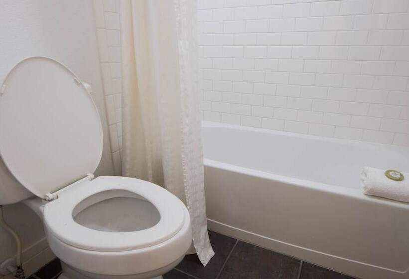 اتاق استاندارد با 2 تخت دوبل, Rodeway Inn Clearwater   Central