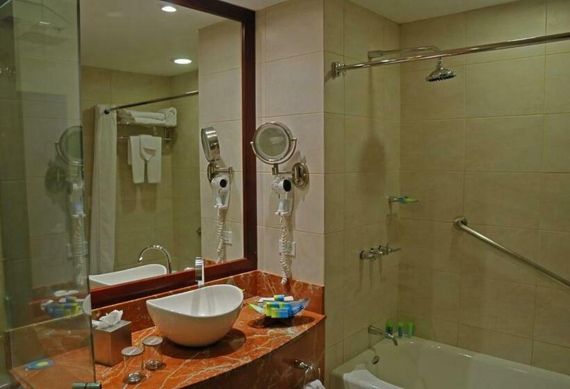 سوئیت با تخت بزرگ, Radisson San Josecosta Rica