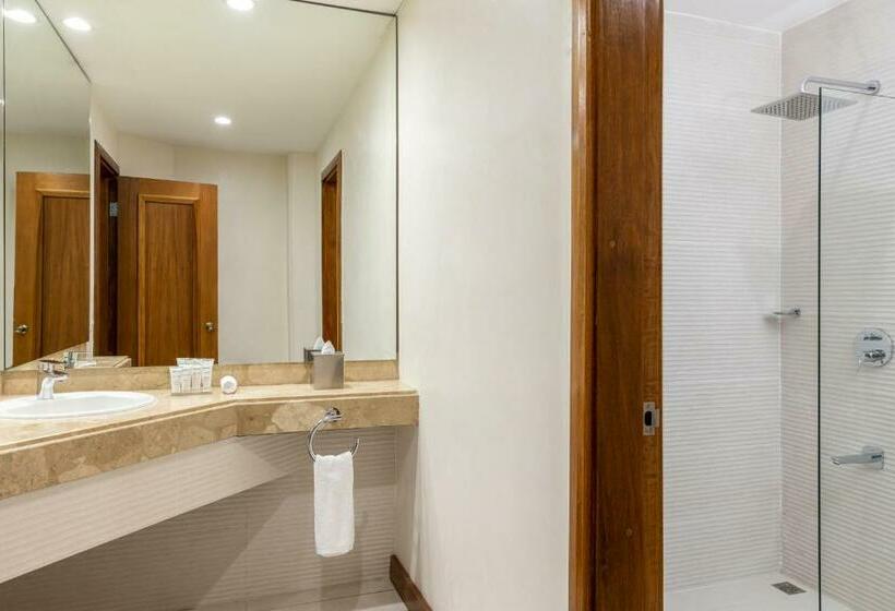 استودیو استاندارد با تخت کینگ, Radisson San Josecosta Rica