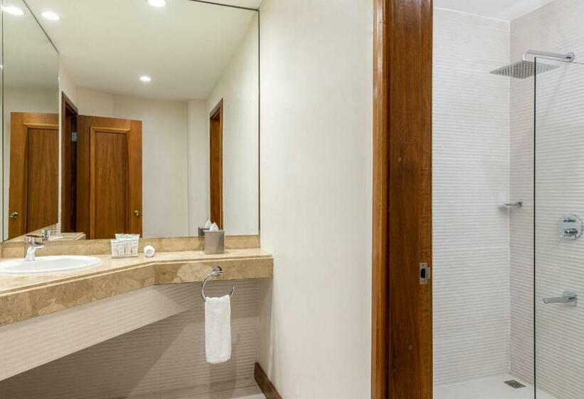 إستوديو قياسى سرير كينج, Radisson San Josecosta Rica