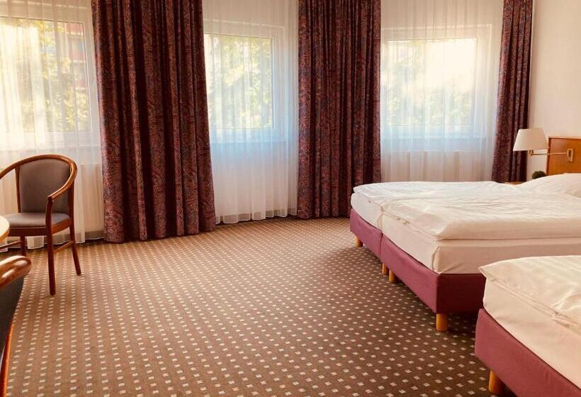 اتاق استاندارد سه نفره, Akzent Congresshotel Hoyerswerda