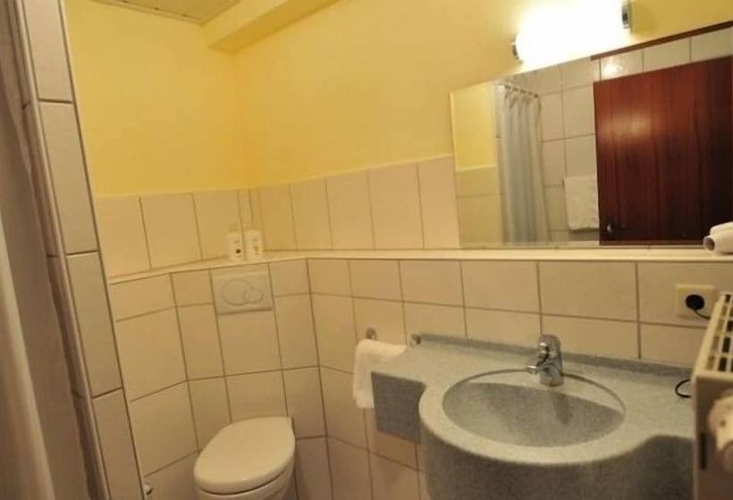 Standard Single Room, Akzent Hotel Goldener Ochsen