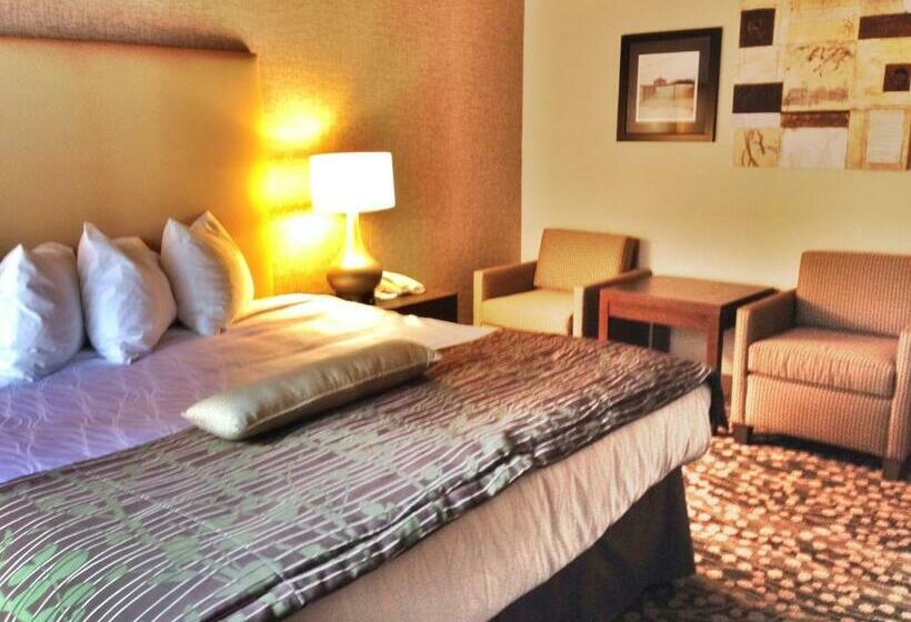اتاق استاندارد با تخت بزرگ, Best Western The Inn & Suites Pacific Grove