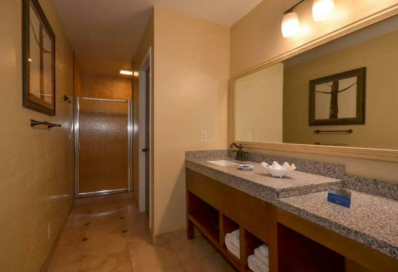 اتاق استاندارد با تخت بزرگ, Best Western The Inn & Suites Pacific Grove