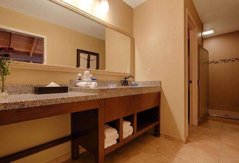 اتاق استاندارد با تخت بزرگ, Best Western The Inn & Suites Pacific Grove