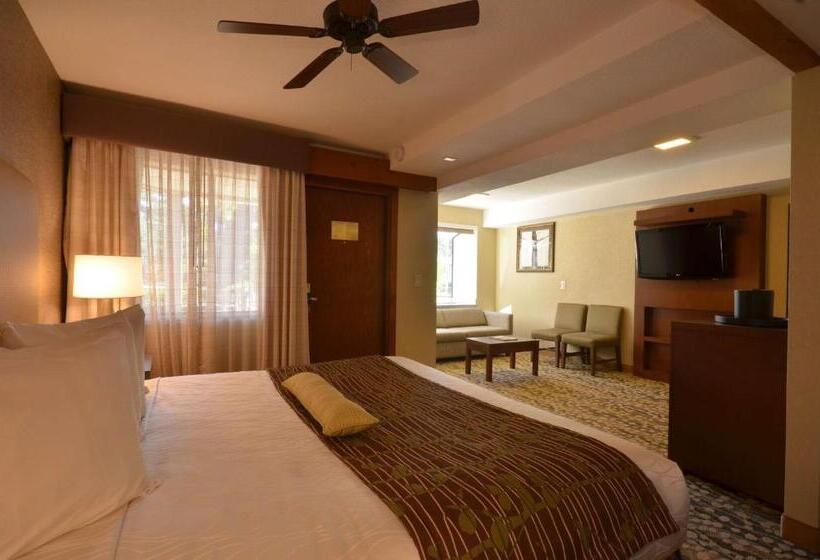 اتاق استاندارد با تخت بزرگ, Best Western The Inn & Suites Pacific Grove