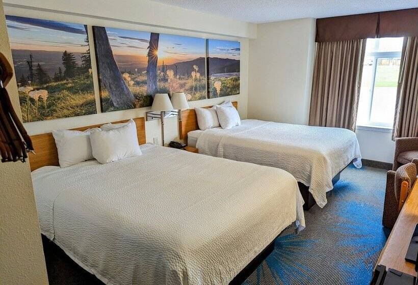 اتاق لوکس, Days Inn By Wyndham Great Falls