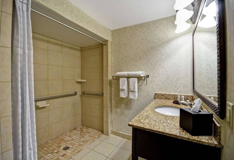 Suite Adapted for people with reduced mobility, Embassy Suites By Hilton Charleston Historic District