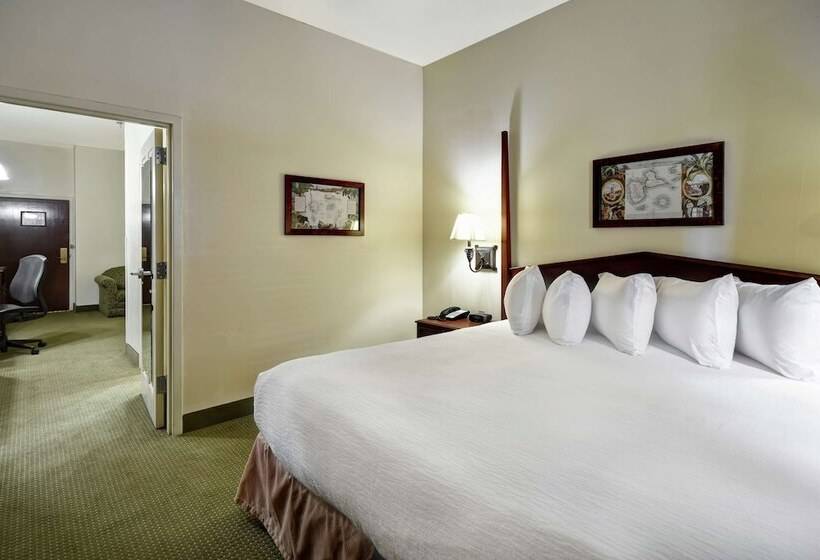 Suite Adapted for people with reduced mobility, Embassy Suites By Hilton Charleston Historic District