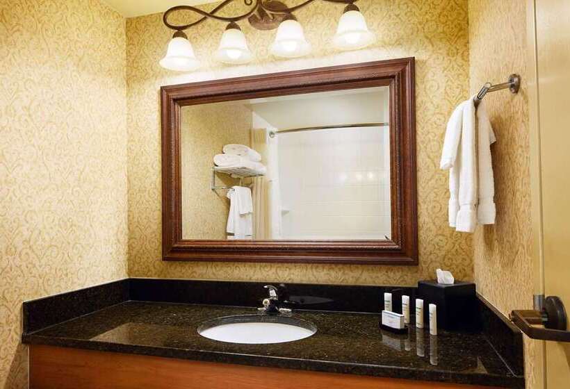 اتاق استاندارد با تخت بزرگ, Embassy Suites By Hilton Portland Downtown