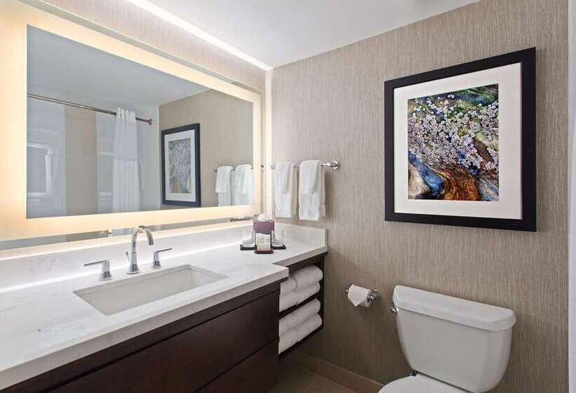 سوییت, Embassy Suites By Hilton Tampa Usf Near Busch Gardens