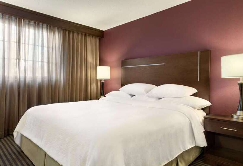 سوئیت با تخت بزرگ, Embassy Suites By Hilton Tampa Usf Near Busch Gardens