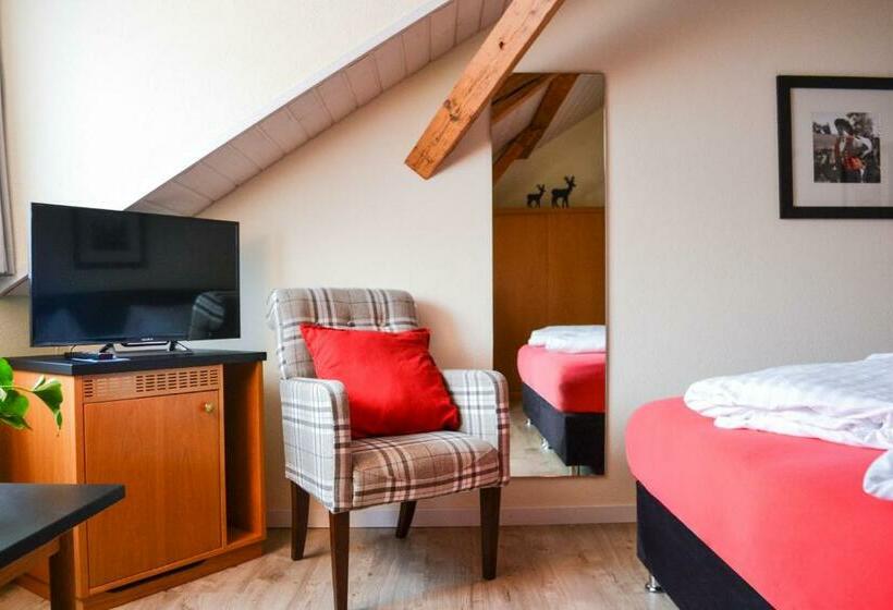 Deluxe Kamer, Landhaus Säntis Herisau