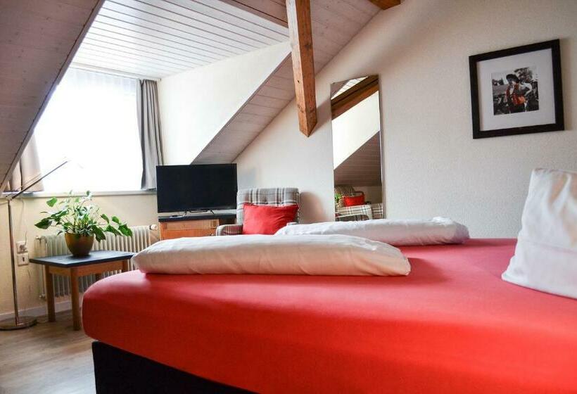 Deluxe Kamer, Landhaus Säntis Herisau