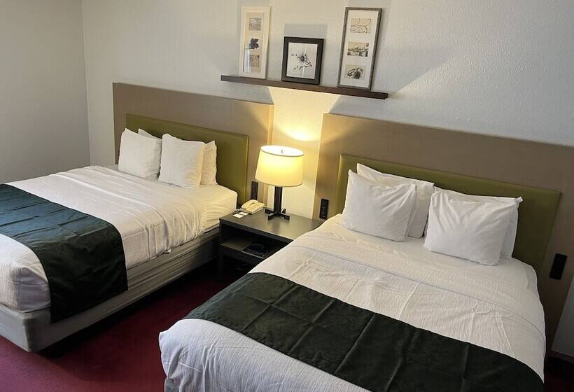 اتاق استاندارد با 2 تخت دوبل, Pictured Rocks Inn And Suites