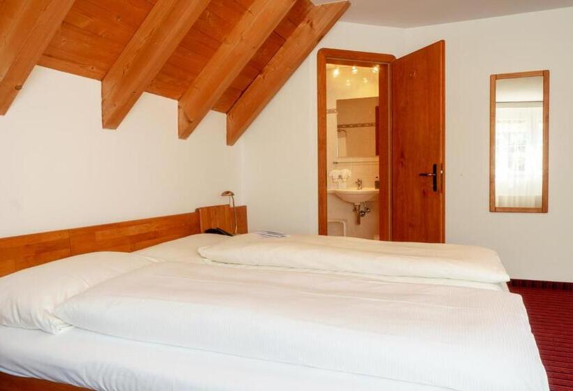 اتاق لوکس, Typically Swiss Hotel Altana