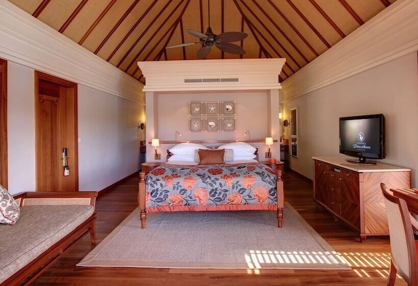 سوییت جونیور, Constance Prince Maurice
